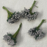 Pollen- Silver
