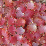 Flower - rose red