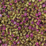 Clip stone 4mm- Magenta colour
