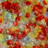 Shell-Transparent multi colour