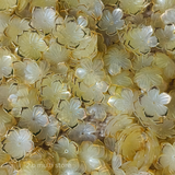 Flower - lemon yellow